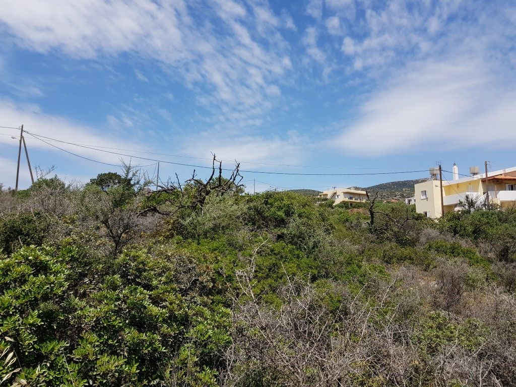 Земля в Ираклионе, Греция, 6 000 м² - фото 5