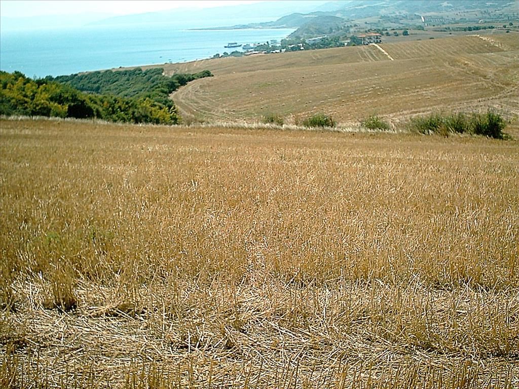 Земля на Халкидиках, Греция, 11 200 м² - фото 4