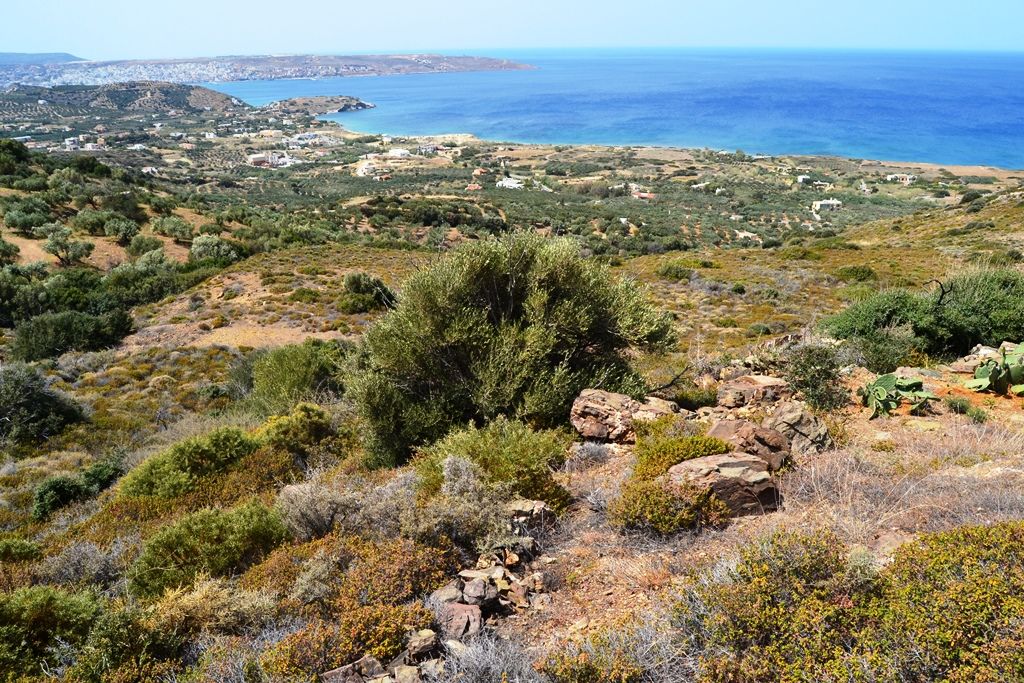 Земля в Ираклионе, Греция, 9 000 м² - фото 4