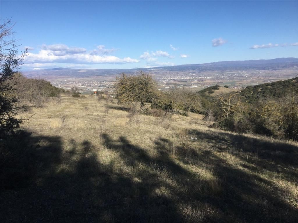 Земля в Салониках, Греция, 6 500 м² - фото 4