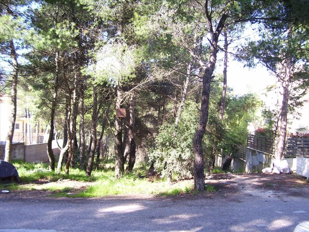 Земля в Аттике, Греция, 815 м² - фото 4