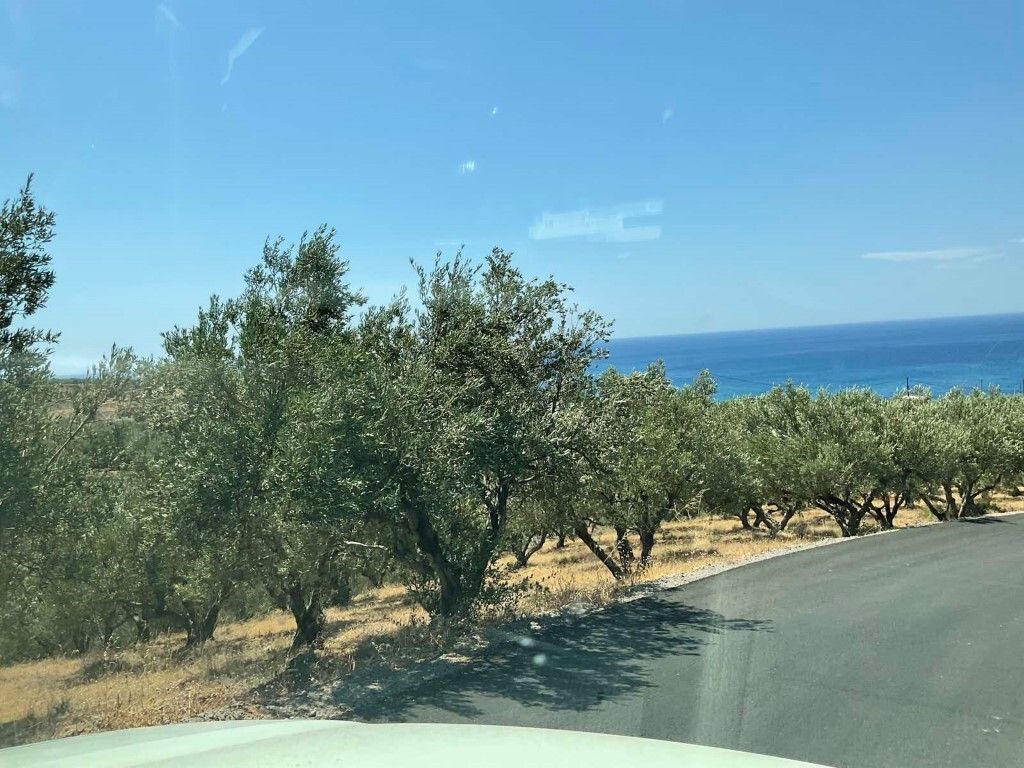 Земля в Ираклионе, Греция, 5 600 м² - фото 6