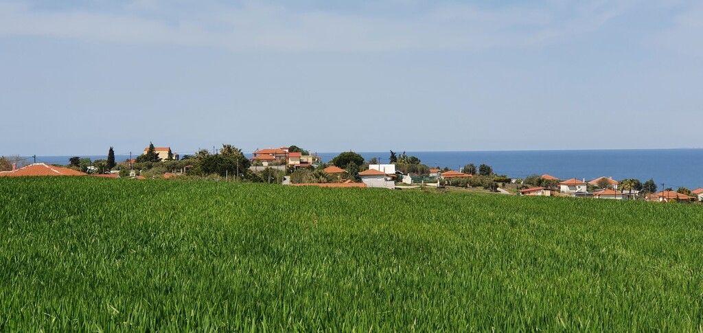 Земля на Кассандре, Греция, 5 250 м² - фото 6