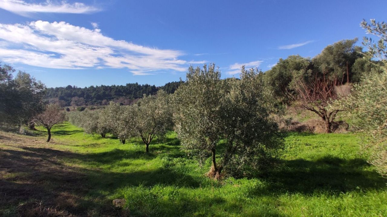 Земля в Ситонии, Греция, 14 000 м² - фото 6