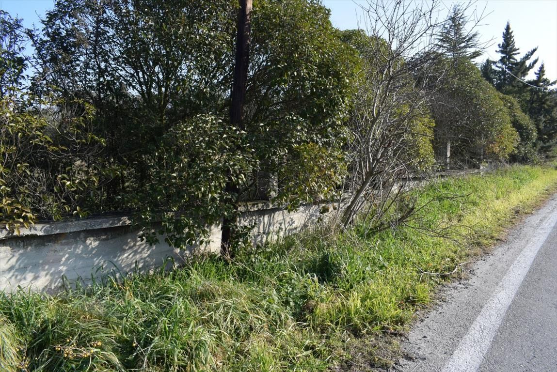 Земля в Салониках, Греция, 3 000 м² - фото 6