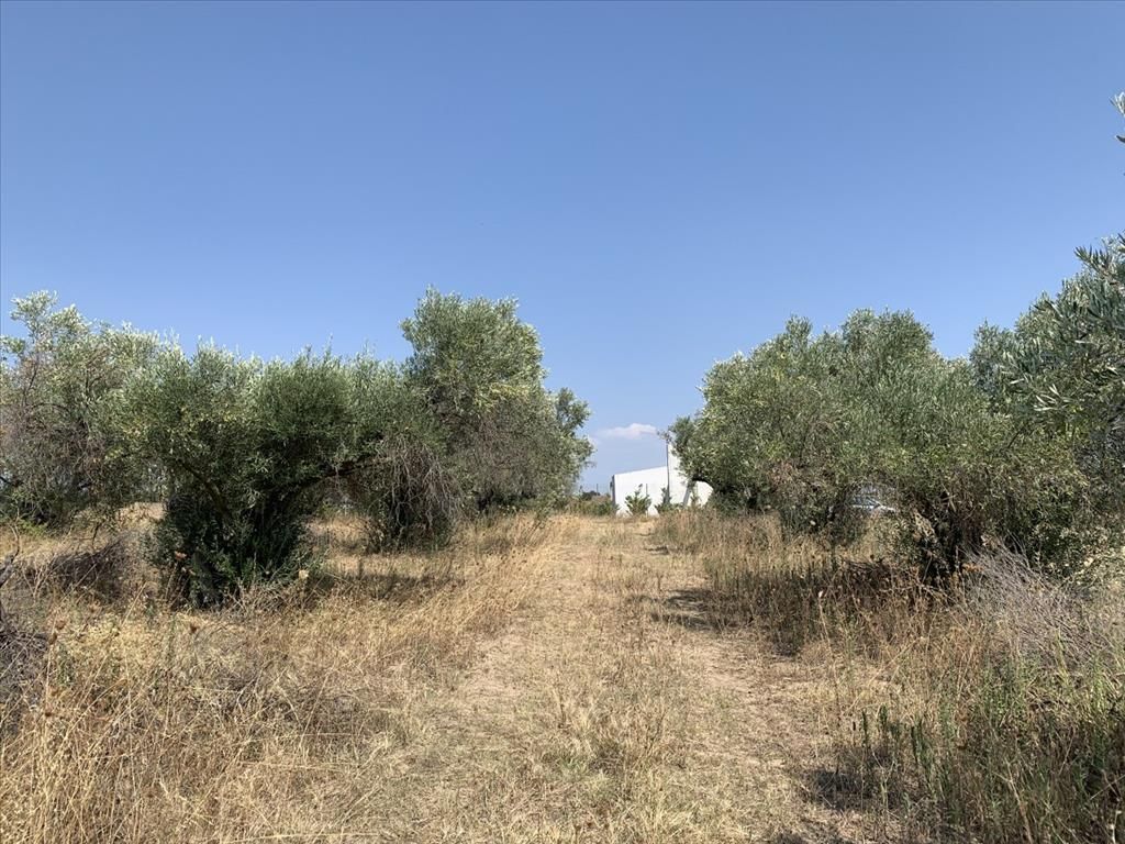 Земля в Салониках, Греция, 7 000 м² - фото 6