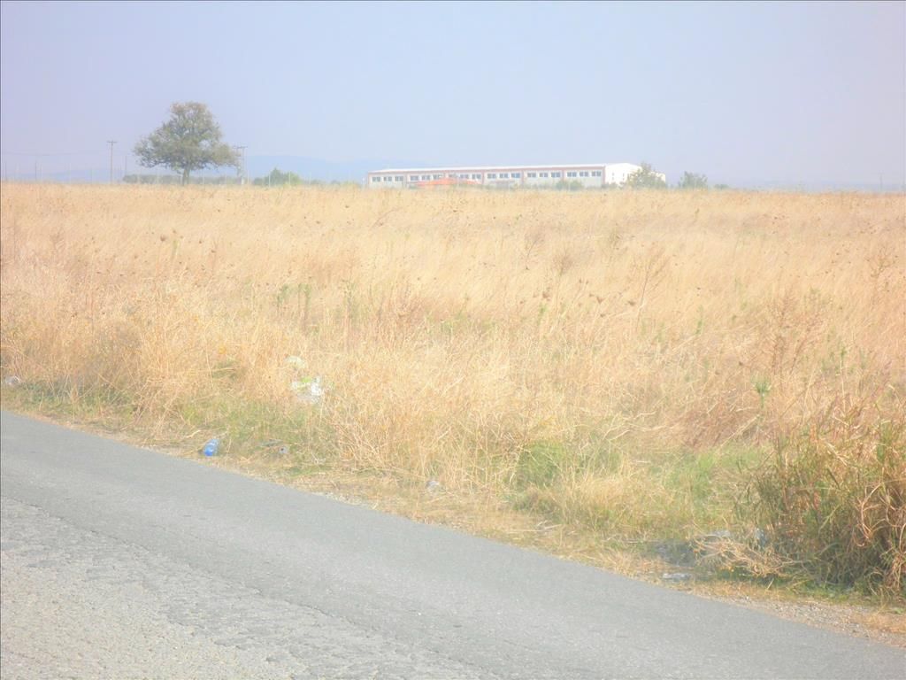 Земля на Халкидиках, Греция, 5 512 м² - фото 6