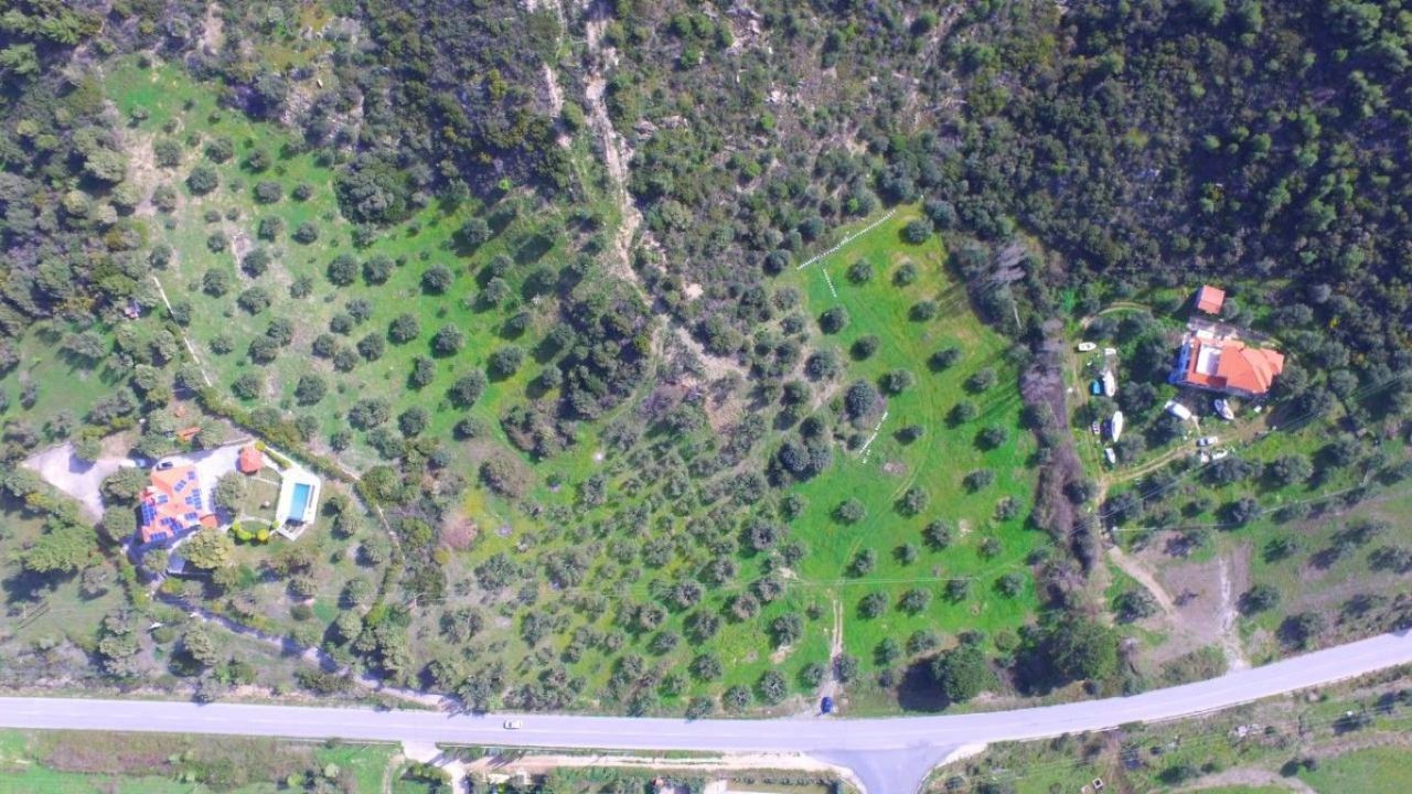 Земля в Ситонии, Греция, 9 100 м² - фото 6