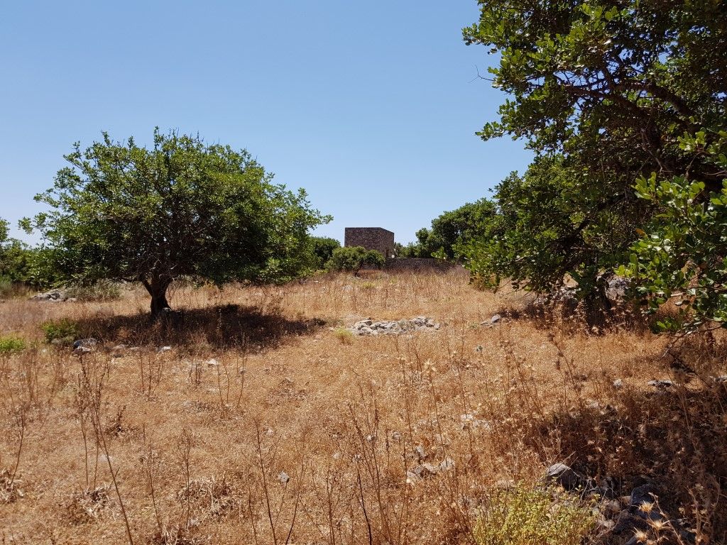 Земля в Ираклионе, Греция, 8 000 м² - фото 6