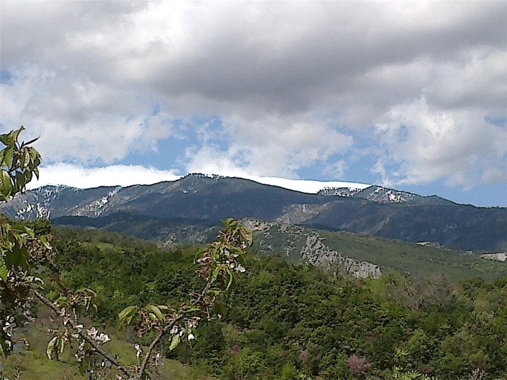 Дом в Олимпиаки-Акти, Греция, 153 м² - фото 5