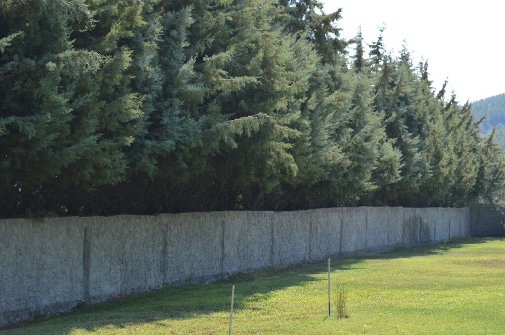 Дом в Салониках, Греция, 210 м² - фото 7