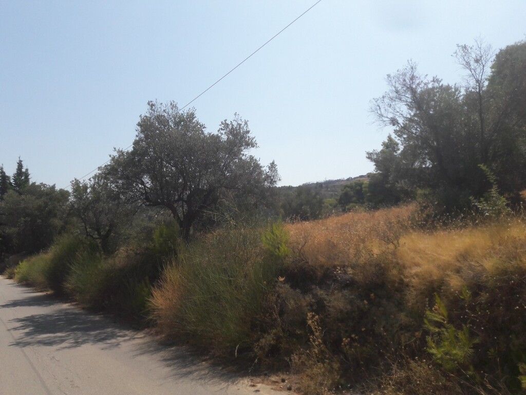 Земля в Аттике, Греция, 8 076 м² - фото 7