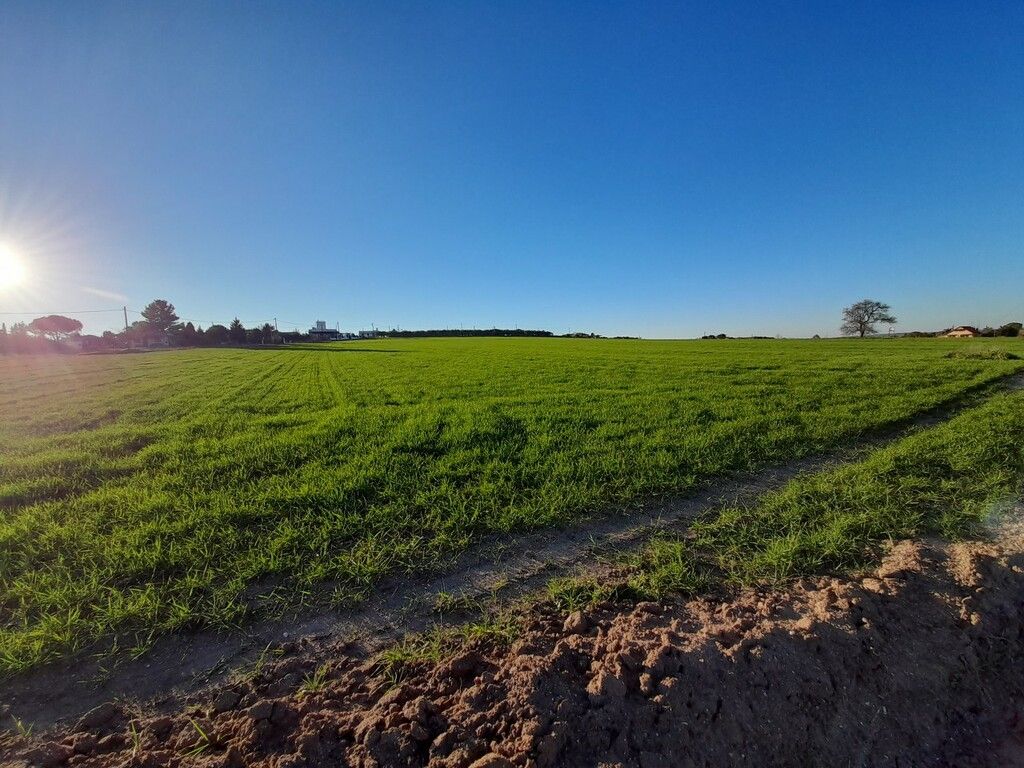 Земля на Халкидиках, Греция, 22 400 м² - фото 7