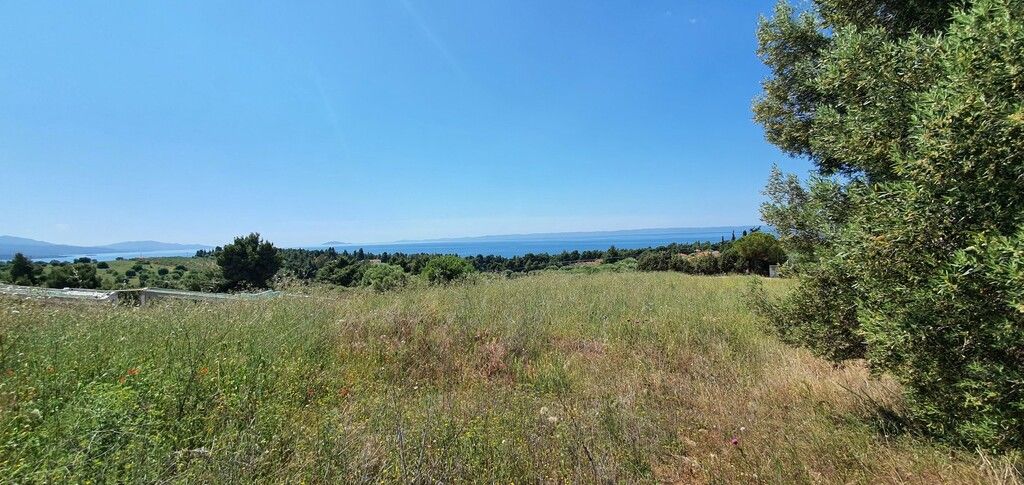 Земля в Ситонии, Греция, 4 000 м² - фото 7