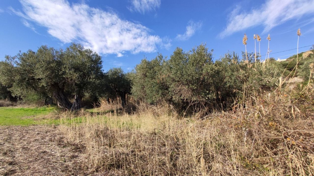 Земля в Ситонии, Греция, 3 700 м² - фото 7