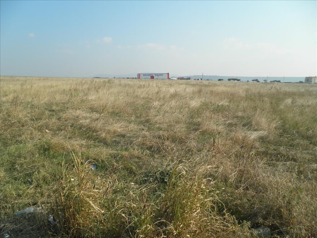 Земля на Халкидиках, Греция, 4 037 м² - фото 7