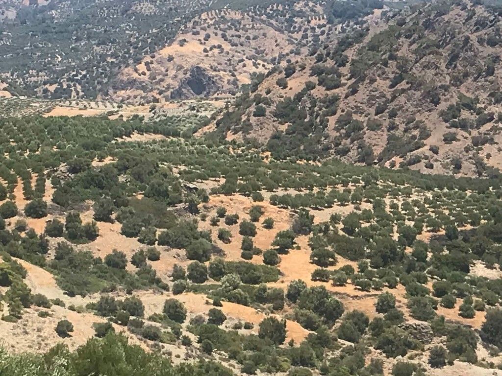 Земля в Ираклионе, Греция, 30 000 м² - фото 8