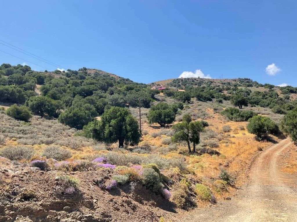 Земля в Ираклионе, Греция, 32 687 м² - фото 8