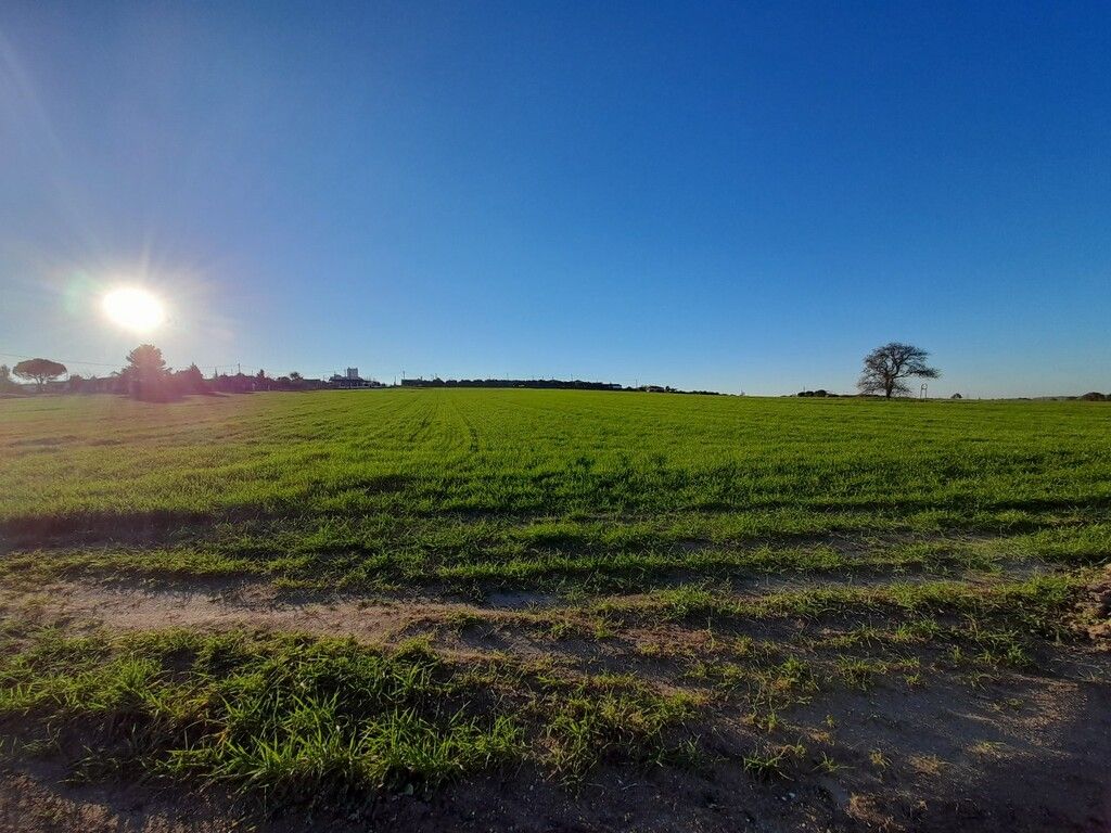 Земля на Халкидиках, Греция, 22 400 м² - фото 8