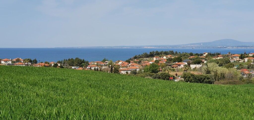 Земля на Кассандре, Греция, 5 250 м² - фото 8