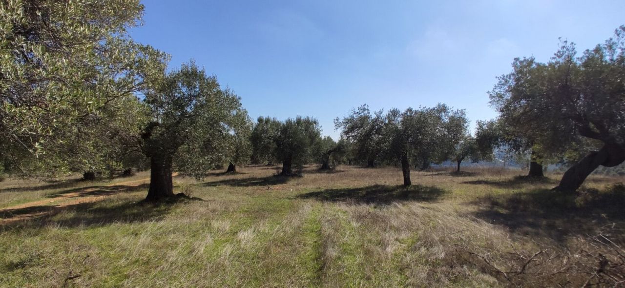 Земля в Ситонии, Греция, 9 000 м² - фото 8