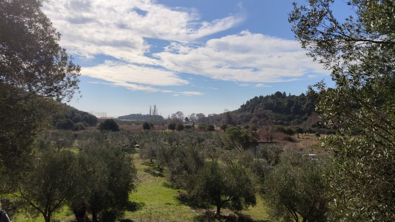 Земля в Ситонии, Греция, 14 000 м² - фото 8