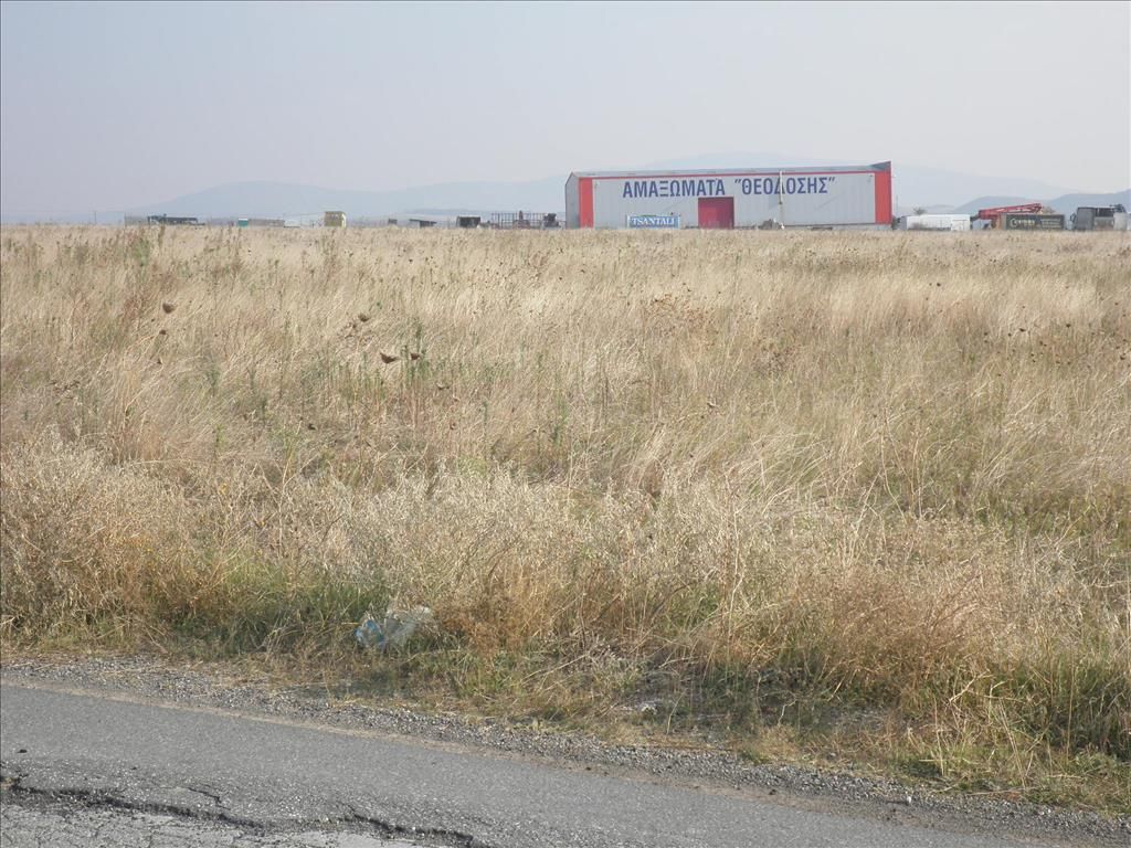 Земля на Халкидиках, Греция, 4 037 м² - фото 8