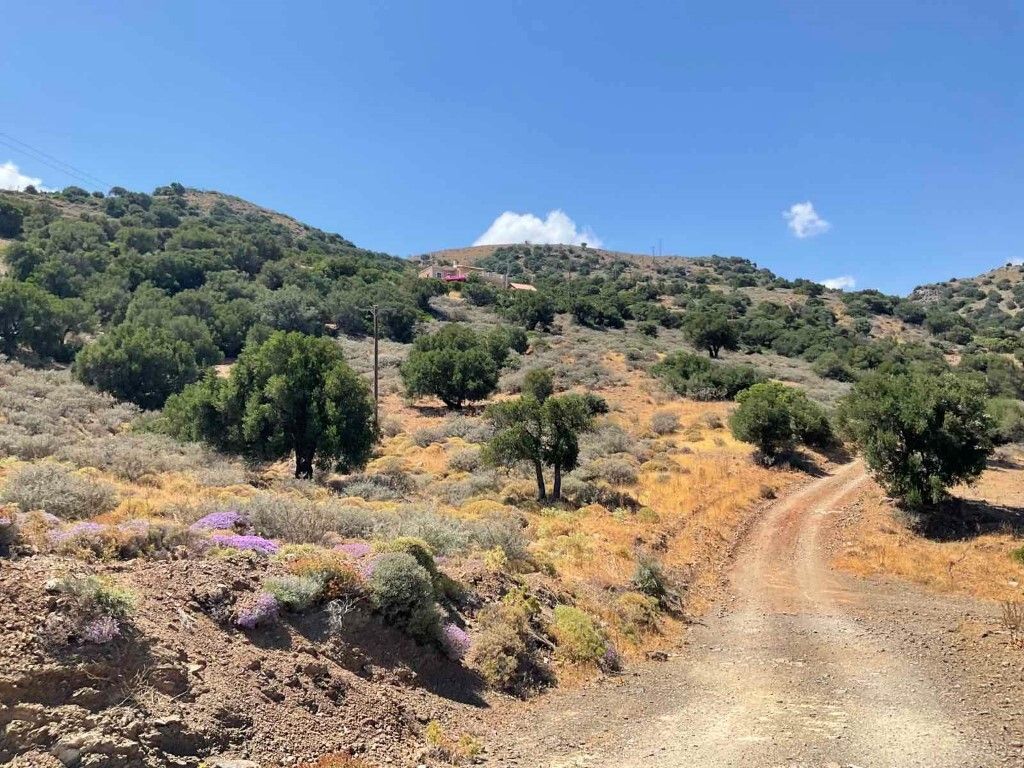 Земля в Ираклионе, Греция, 32 687 м² - фото 9