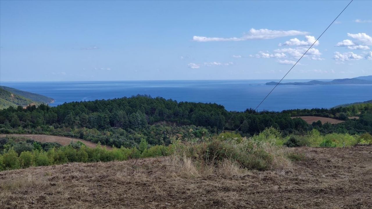 Земля на Халкидиках, Греция, 23 000 м² - фото 9