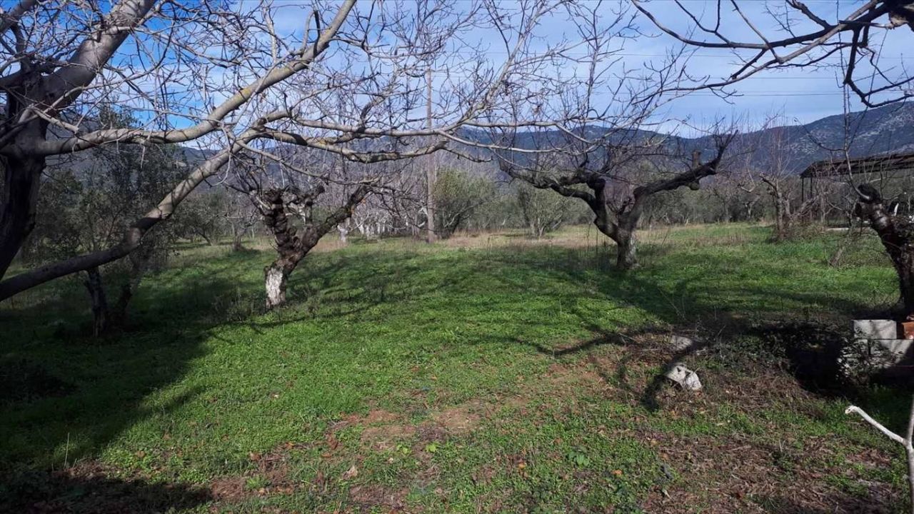 Земля в Салониках, Греция, 18 250 м² - фото 9