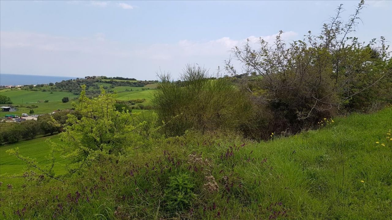 Земля на Халкидиках, Греция, 18 000 м² - фото 9