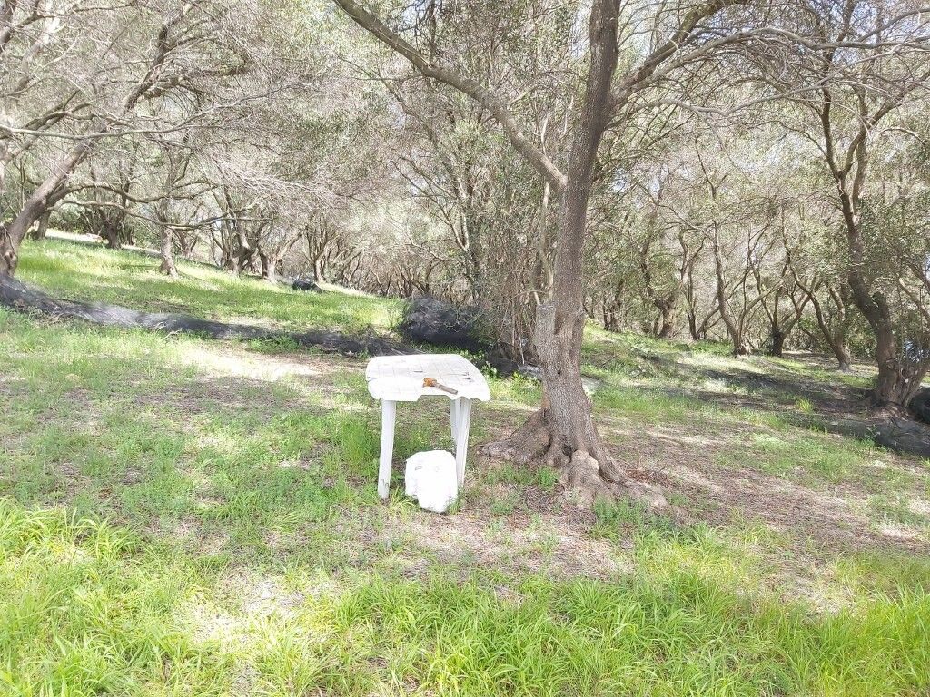 Земля на Корфу, Греция, 8 000 м² - фото 10