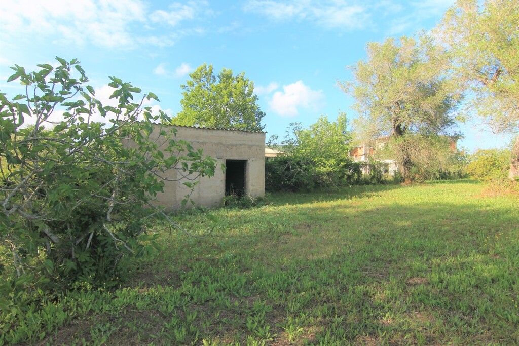 Земля на Корфу, Греция, 4 188 м² - фото 10