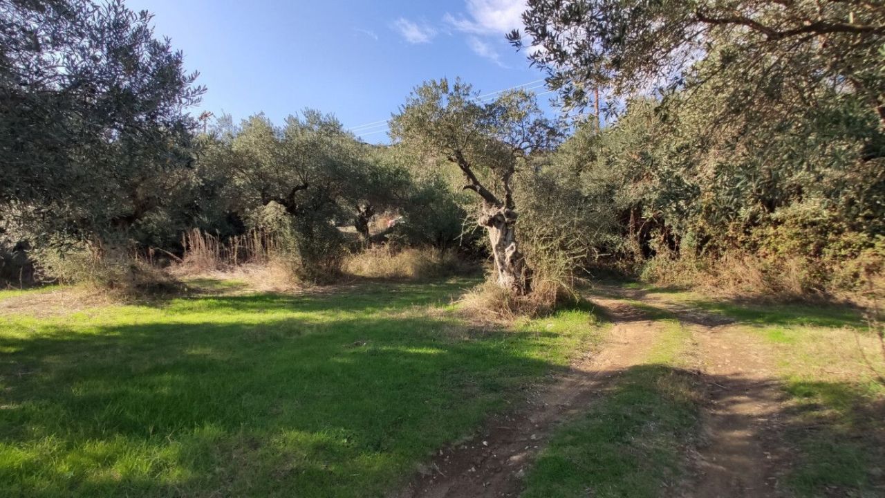 Земля в Ситонии, Греция, 3 700 м² - фото 10