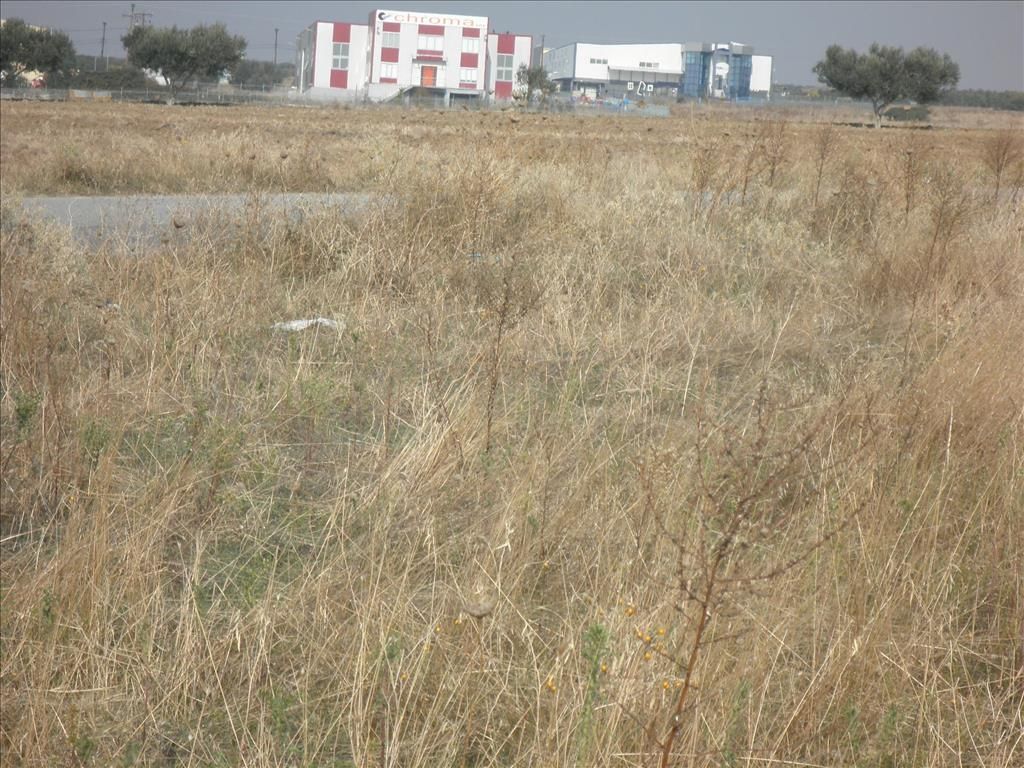 Земля на Халкидиках, Греция, 4 037 м² - фото 10