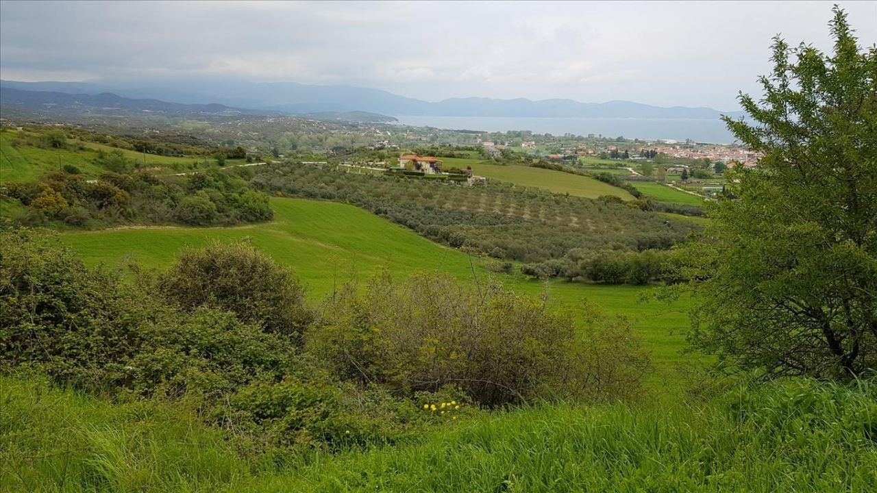 Земля на Халкидиках, Греция, 18 000 м² - фото 10