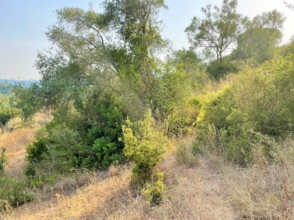 Земля на Корфу, Греция, 21 000 м² - фото 11