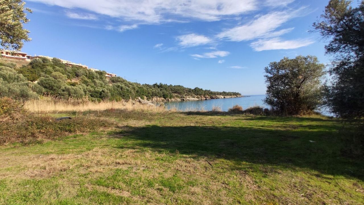 Земля в Ситонии, Греция, 3 700 м² - фото 11