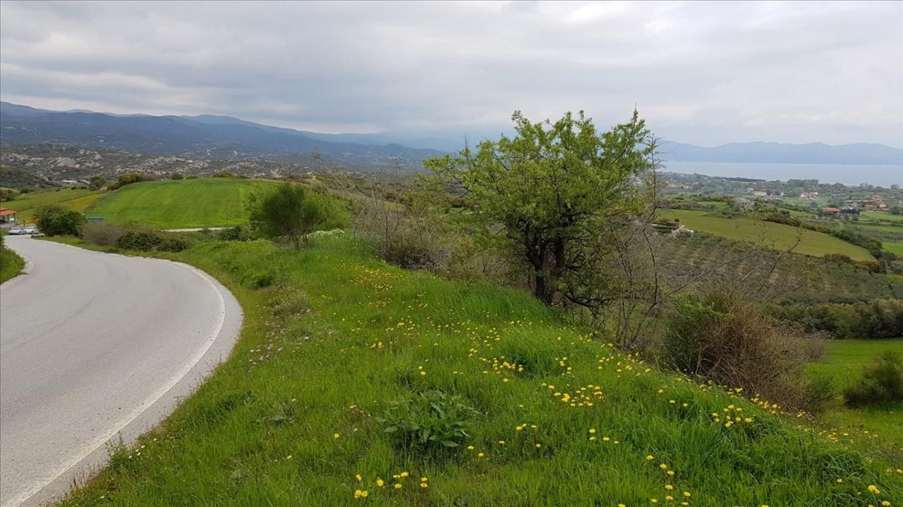 Земля на Халкидиках, Греция, 18 000 м² - фото 11