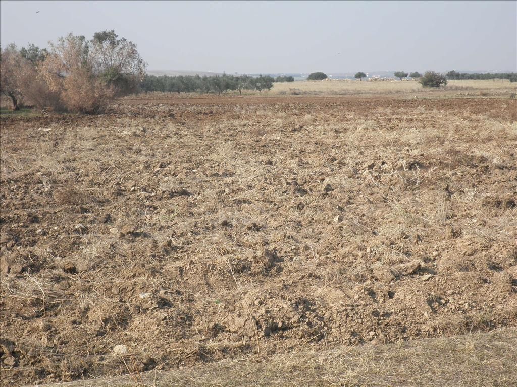 Земля на Халкидиках, Греция, 4 037 м² - фото 12