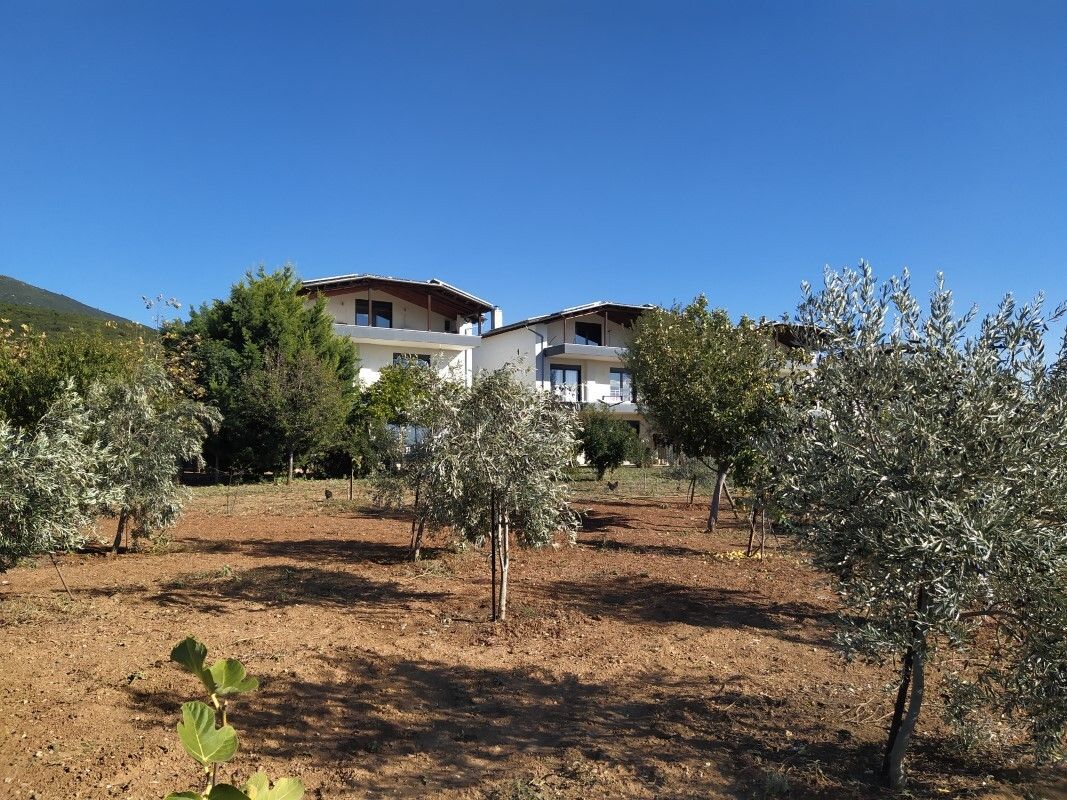 Квартира в Салониках, Греция, 950 м² - фото 13