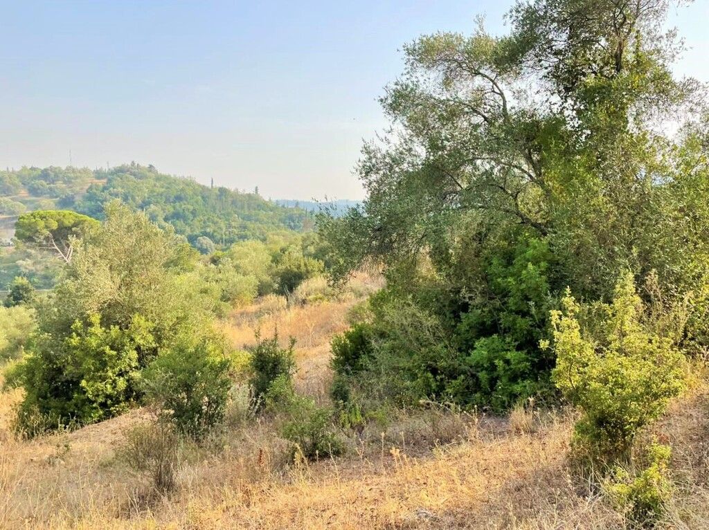 Земля на Корфу, Греция, 21 000 м² - фото 14