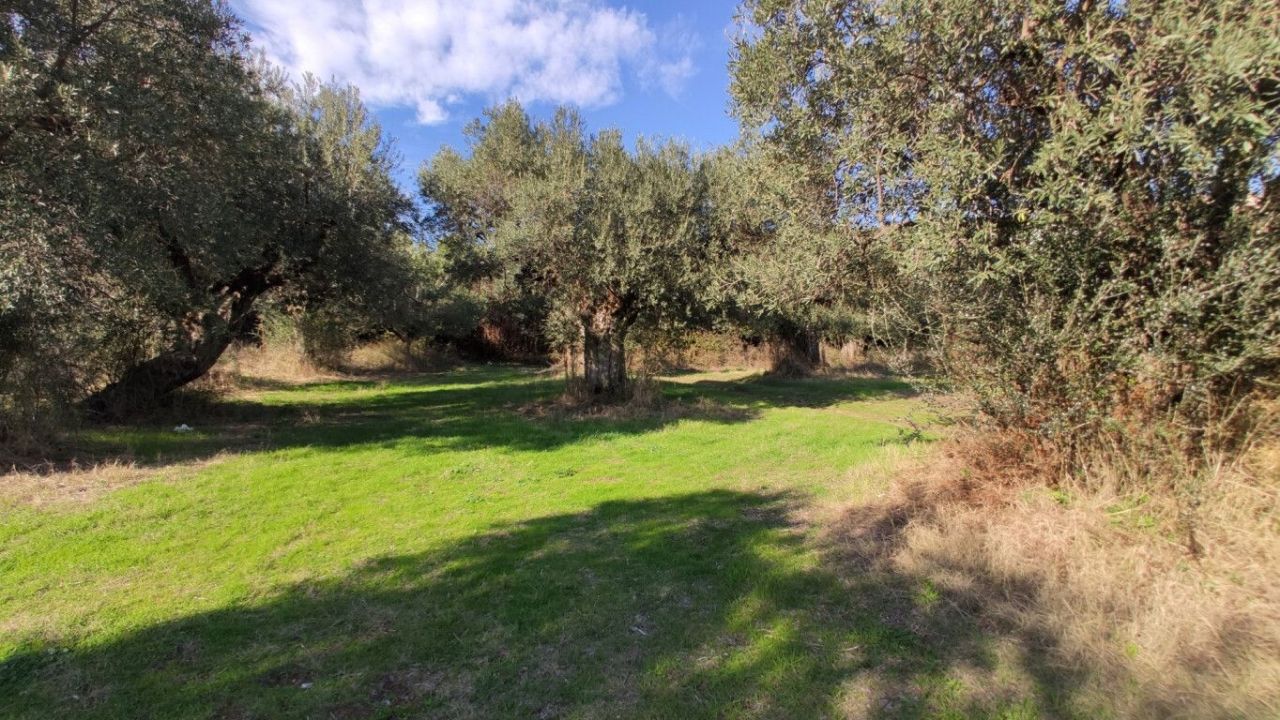 Земля в Ситонии, Греция, 3 700 м² - фото 14