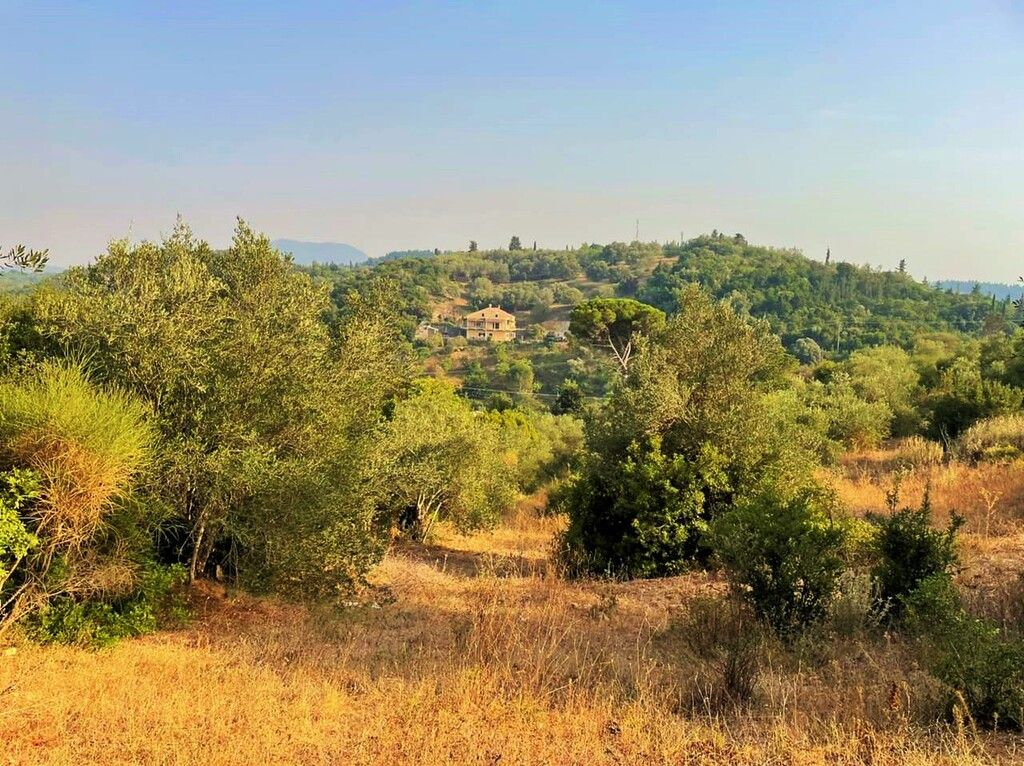 Земля на Корфу, Греция, 21 000 м² - фото 15