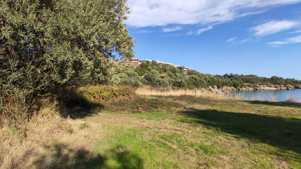 Земля в Ситонии, Греция, 3 700 м² - фото 15