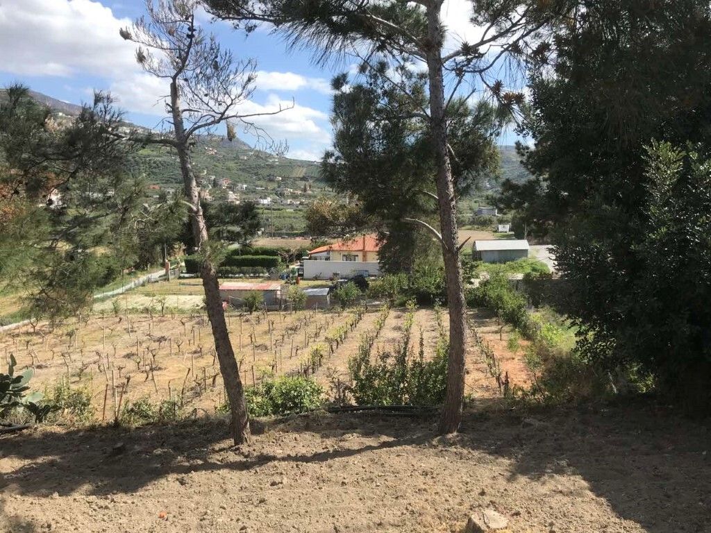 Дом в Ираклионе, Греция, 375 м² - фото 16