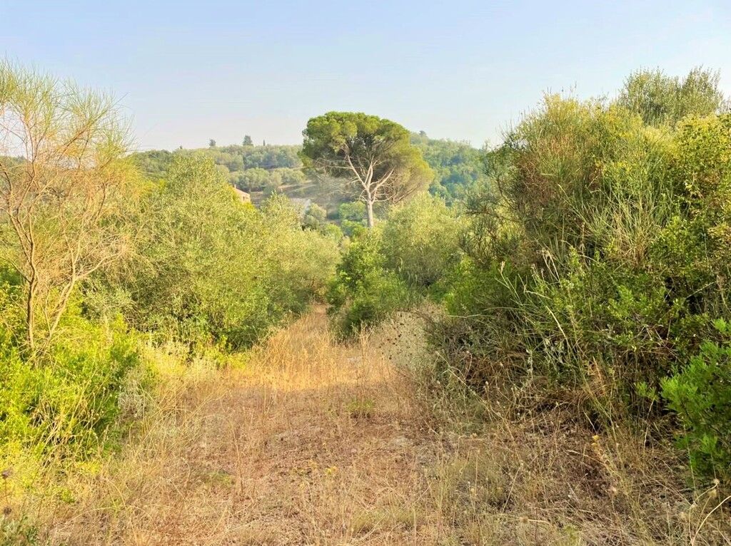 Земля на Корфу, Греция, 21 000 м² - фото 16