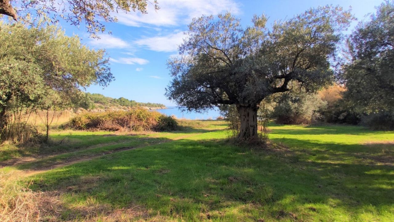 Земля в Ситонии, Греция, 3 700 м² - фото 16