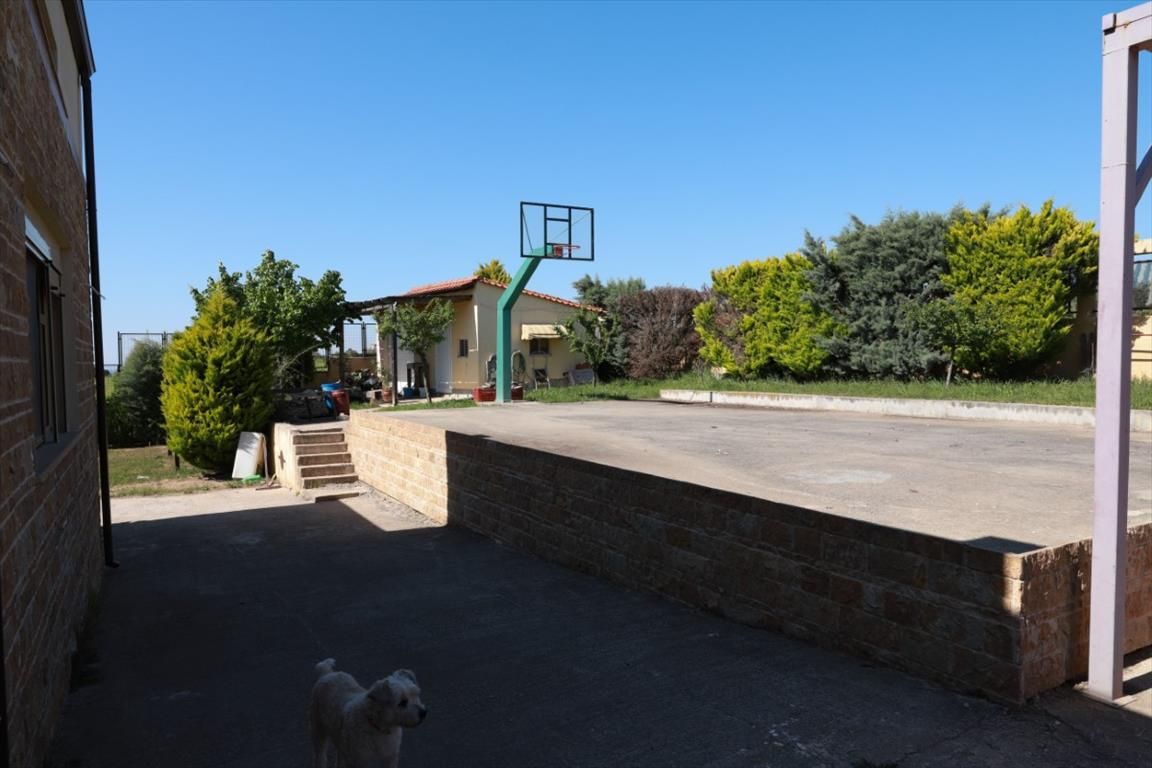 Вилла в Салониках, Греция, 500 м² - фото 16