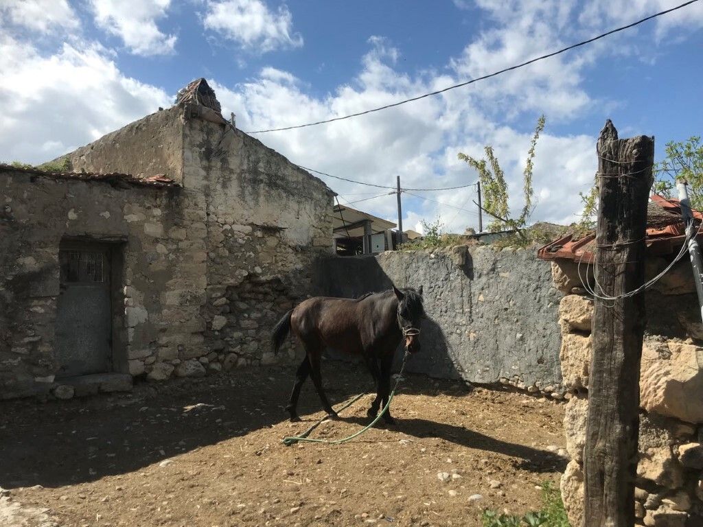 Дом в Ираклионе, Греция, 375 м² - фото 17